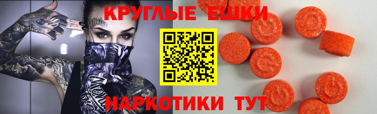 Заводоуковск  Ecstasy 280 MDMA  Ecstasy VHQ  omg tor  Вход с VPN  Ecstasy 