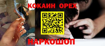 стаф Кунгур