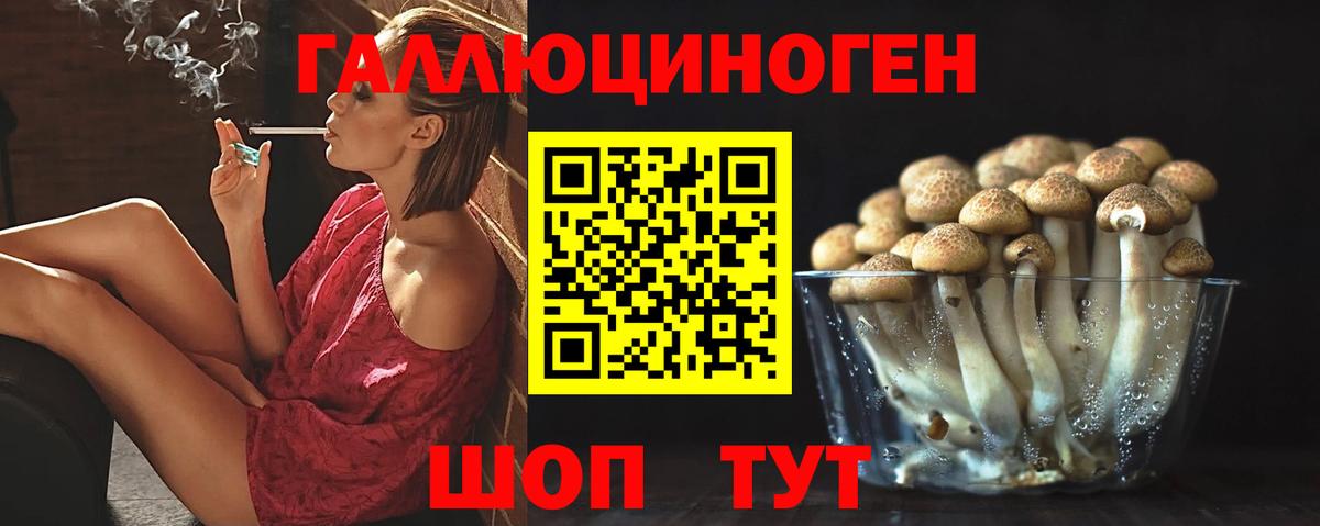Заводоуковск  Псилоцибиновые грибы Magic Shrooms  Псилоцибиновые грибы мухоморы  Вход с VPN 