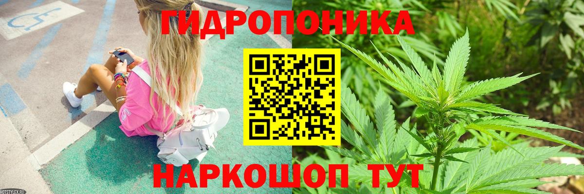 Шишки марихуана конопля  Бошки марихуана LSD WEED  Вход с VPN  Шишки марихуана White Widow  Заводоуковск  Канабис MAZAR 